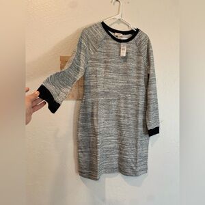 ANN TAYLOR LOFT Dress size Medium